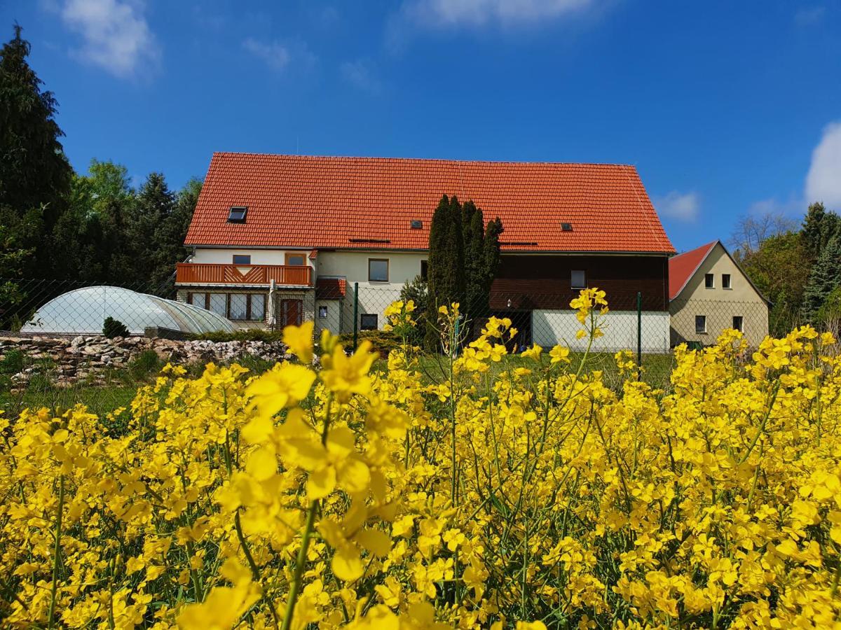Alte Schaeferei Bad Gottleuba Villa ภายนอก รูปภาพ