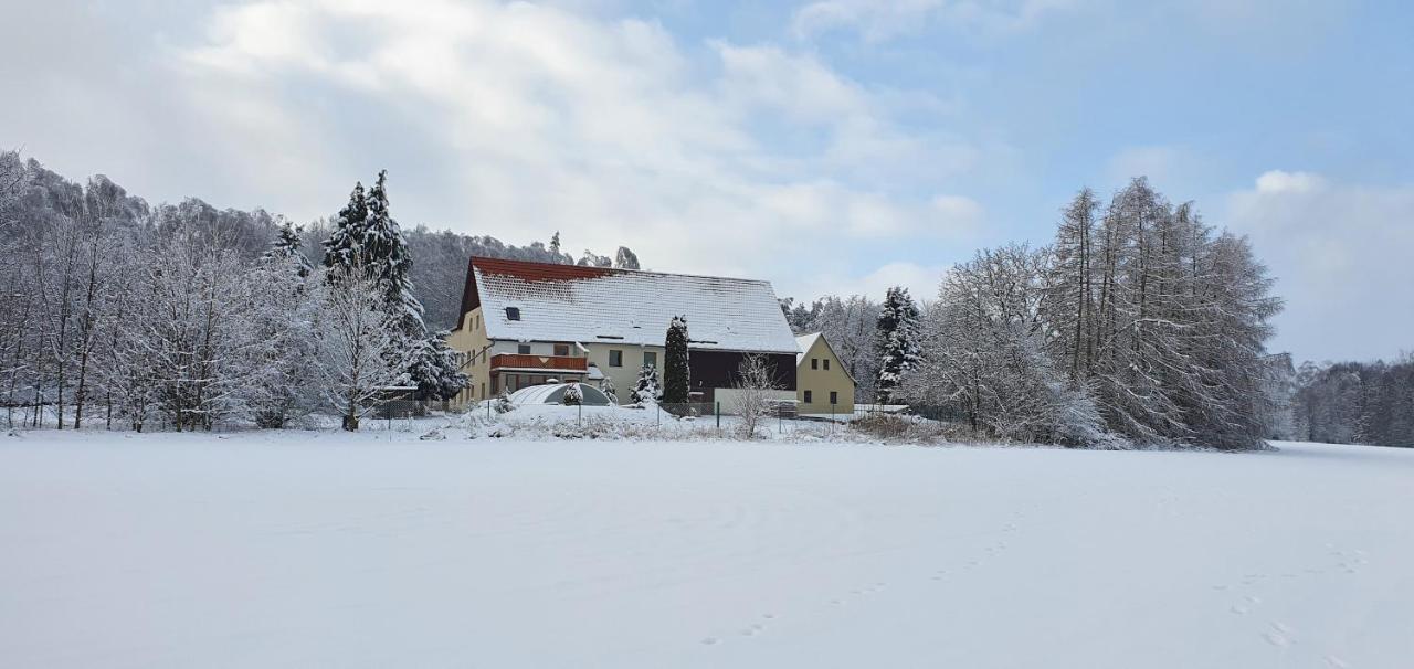 Alte Schaeferei Bad Gottleuba Villa ภายนอก รูปภาพ