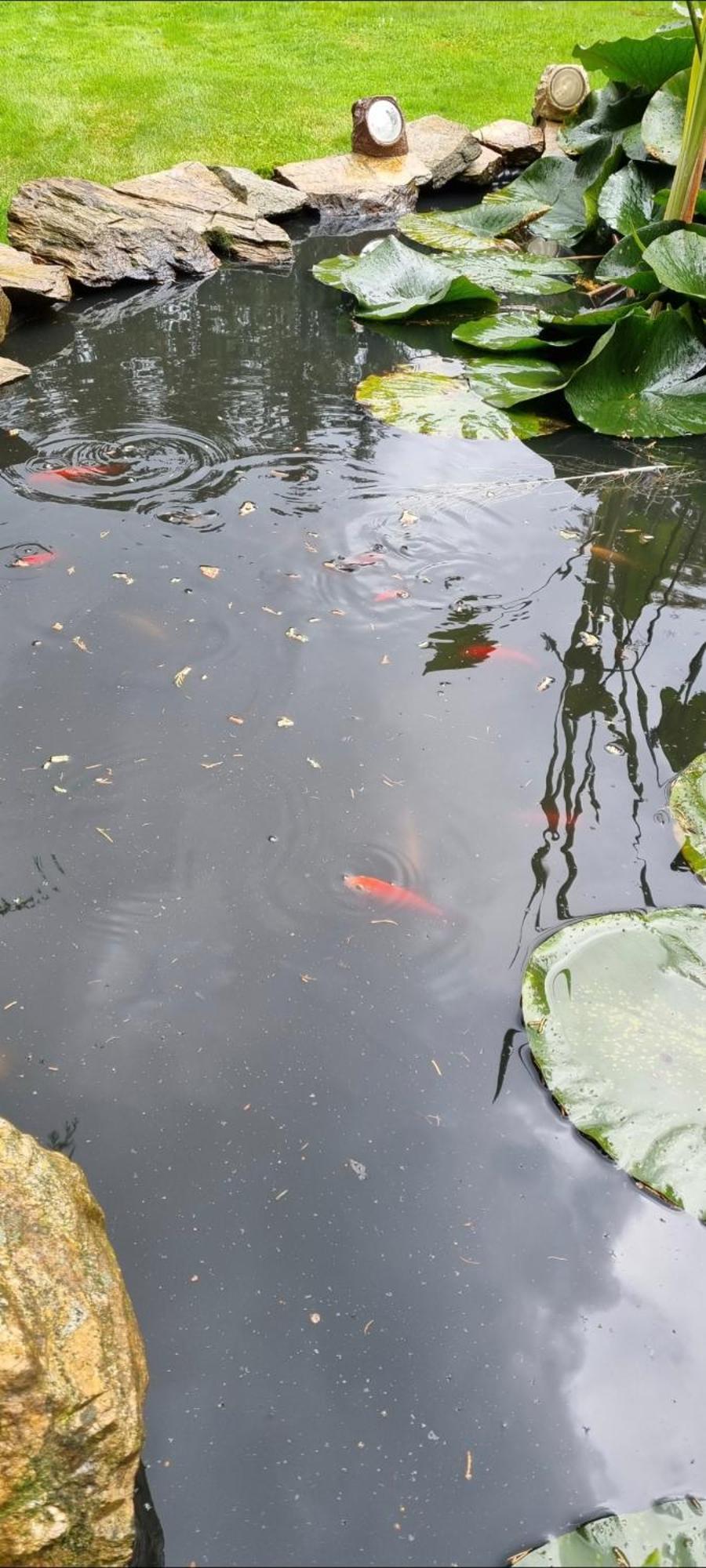 Alte Schaeferei Bad Gottleuba Villa ภายนอก รูปภาพ