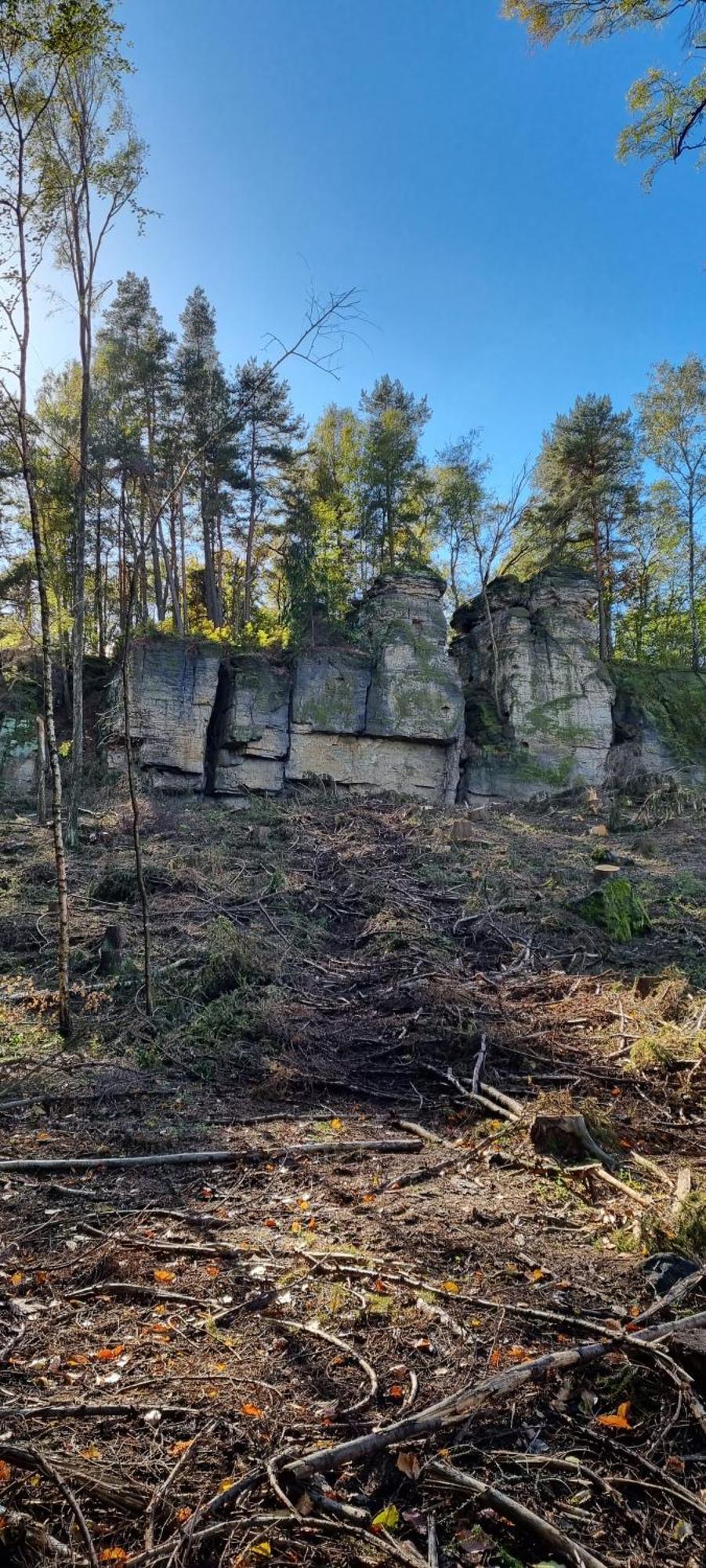 Alte Schaeferei Bad Gottleuba Villa ภายนอก รูปภาพ